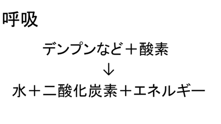 植物の生活と種類 Novita 勉強法