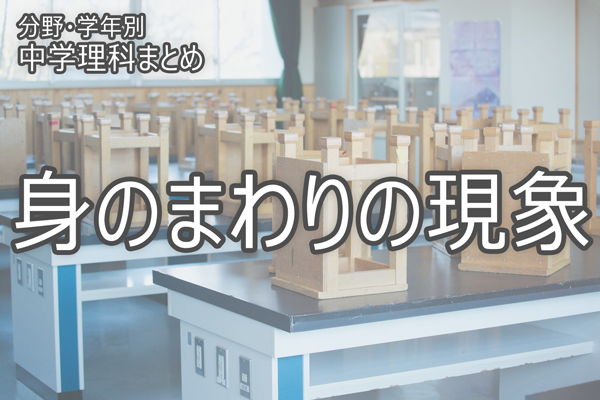 身のまわりの現象 Novita 勉強法