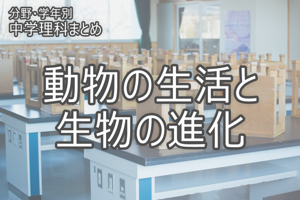 動物の生活と生物の進化 Novita 勉強法